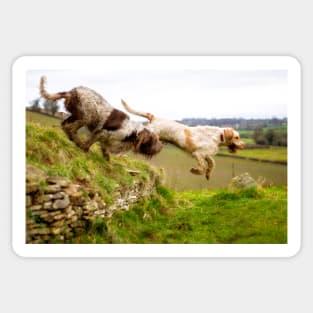 Leaping off a Long Barrow Spinoni Sticker